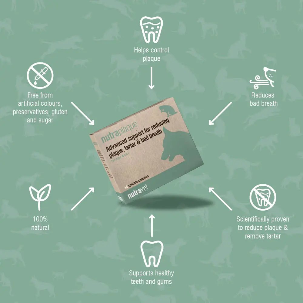 Nutraplaque capsules