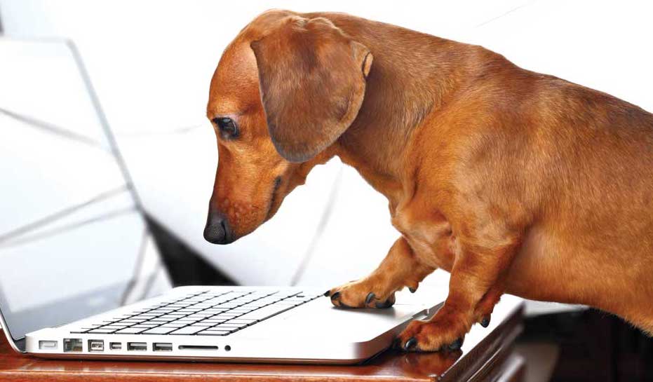 Natural Pet Care shop & Veterinart Surgeon