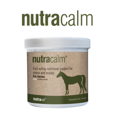 Nutra calm for horses 
